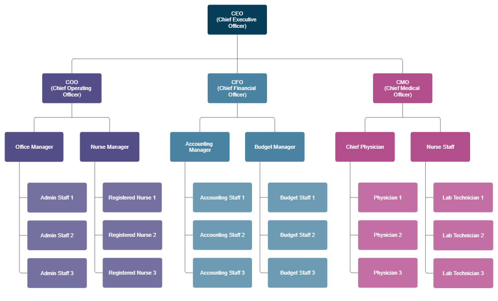 Example Image: Healthcare Organizational Chart
