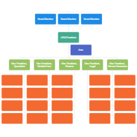 Hospital Organizational Chart