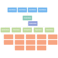 Non-Profit Organizational Chart