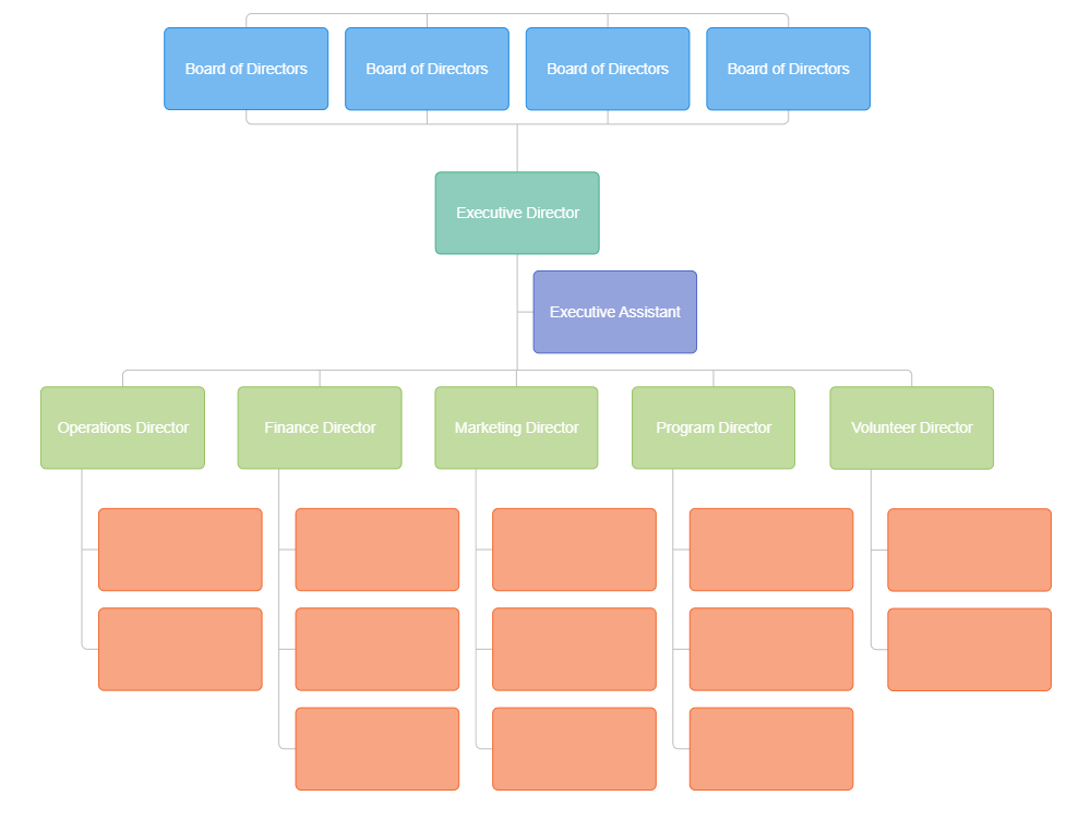 Example Image: Non-Profit Organizational Chart