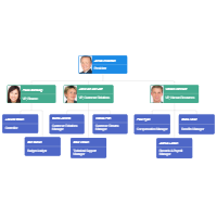 Org Chart Example