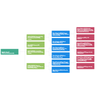 Ownership Structure