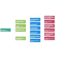 Ownership Structure