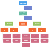Police Department Organizational Chart
