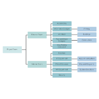 Project Team Chart