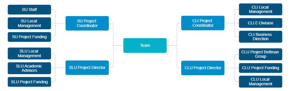 Example Image: Team Hierarchy Chart
