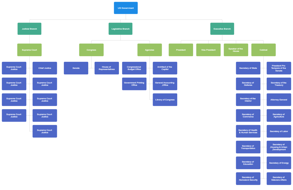 Example Image: US Government Org Chart