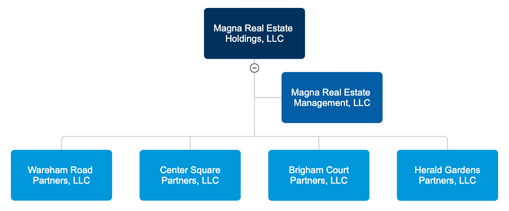 Organizational chart showing corporate entitities