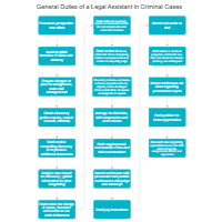 General Duties of a Legal Assistant in Criminal Cases