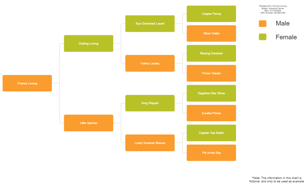 Example Image: Dog Pedigree Chart