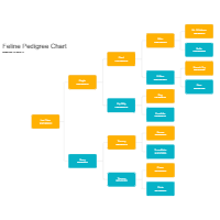 Feline Pedigree Chart