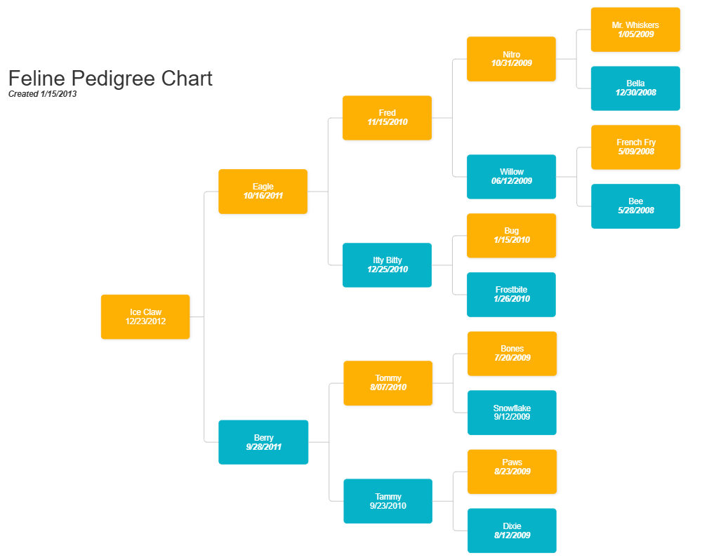 Example Image: Feline Pedigree Chart