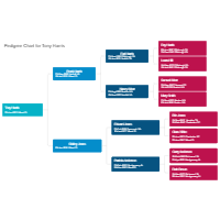 Pedigree Chart Example