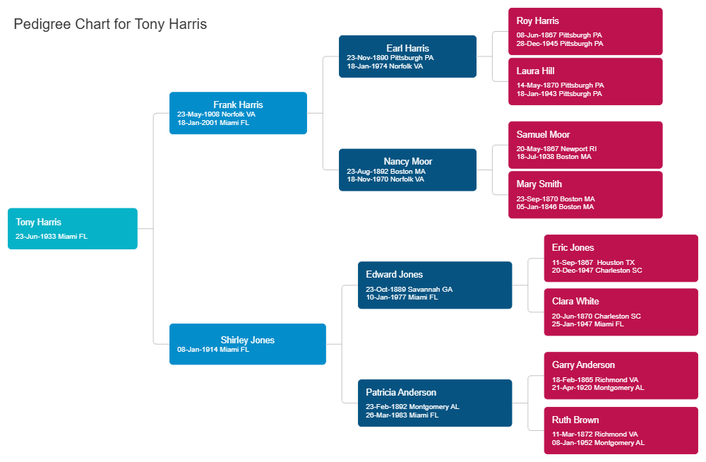 Example Image: Pedigree Chart Example