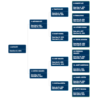 Pedigree Chart Template