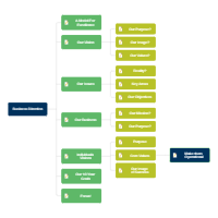 Business Direction