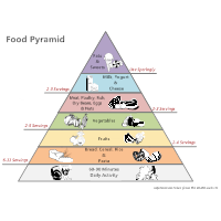 Food Pyramid