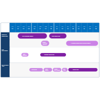 Drug Development and Trial Roadmap