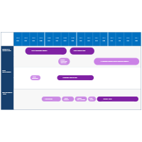 Drug Development and Trial Roadmap