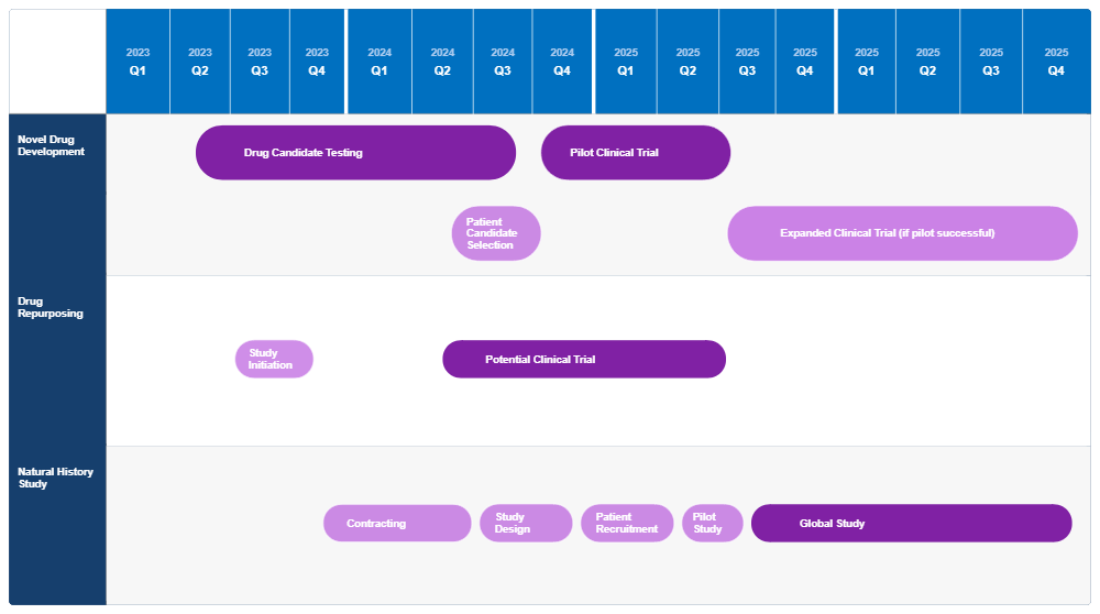 Example Image: Drug Development and Trial Roadmap