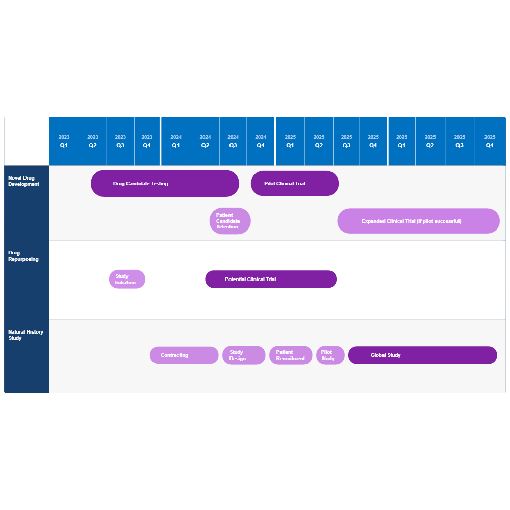 Example Image: Drug Development and Trial Roadmap