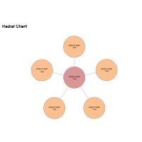 Radial Infographic