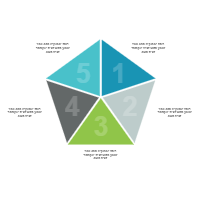 Shapes 15 (Pentagon)