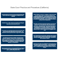 State Court Practice and Procedure