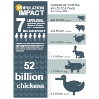 Population Impact Infographic