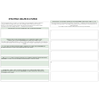Strategic Issues Synthesis