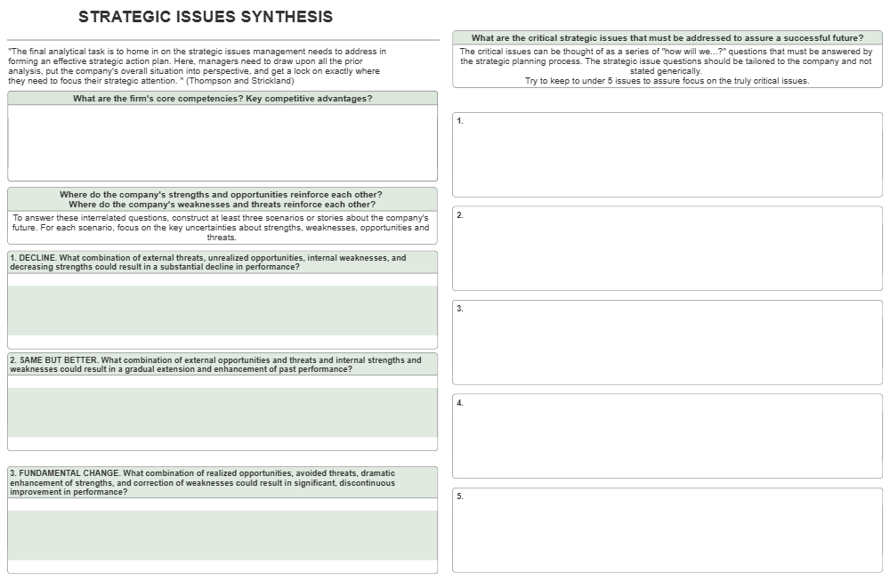 Example Image: Strategic Issues Synthesis