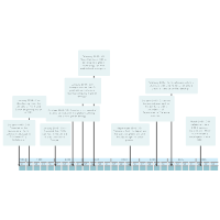 Company Timeline