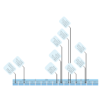 Human Genome