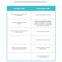 Advantages and Disadvantages of Wills