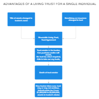 Living Trust - Single