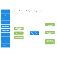 Function of Litigation Support Systems