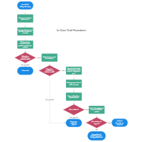 In Court Trial Procedures
