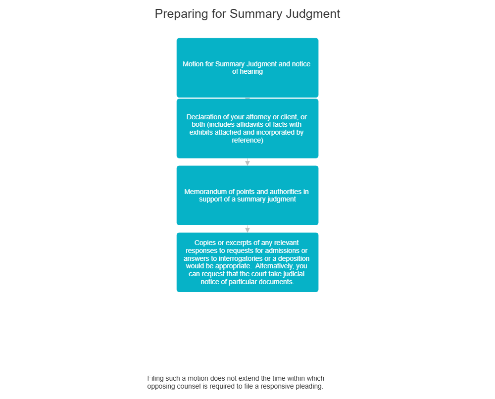 Example Image: Summary Judgment