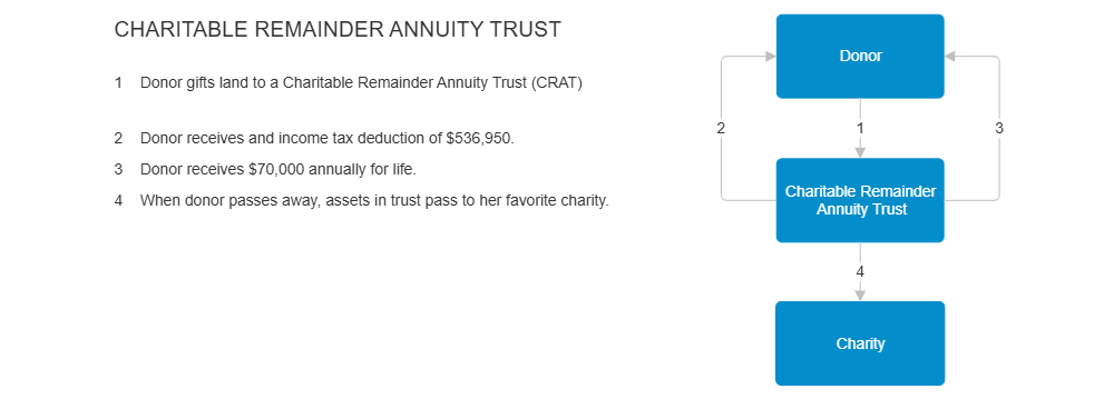Example Image: Example - Charitable Remainder Annuity Trust