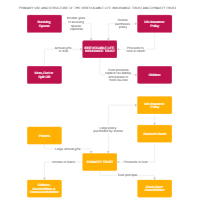 Primary Use and Structure of the Irrevocable Life Insurance Trust and Dynasty Trust