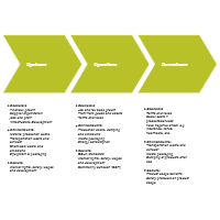 Value Chain Analysis - 3