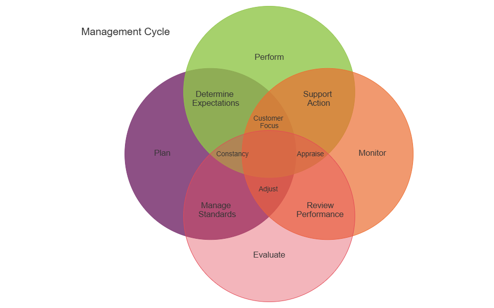 Example Image: Management Cycle