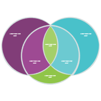 Venn Diagram 06